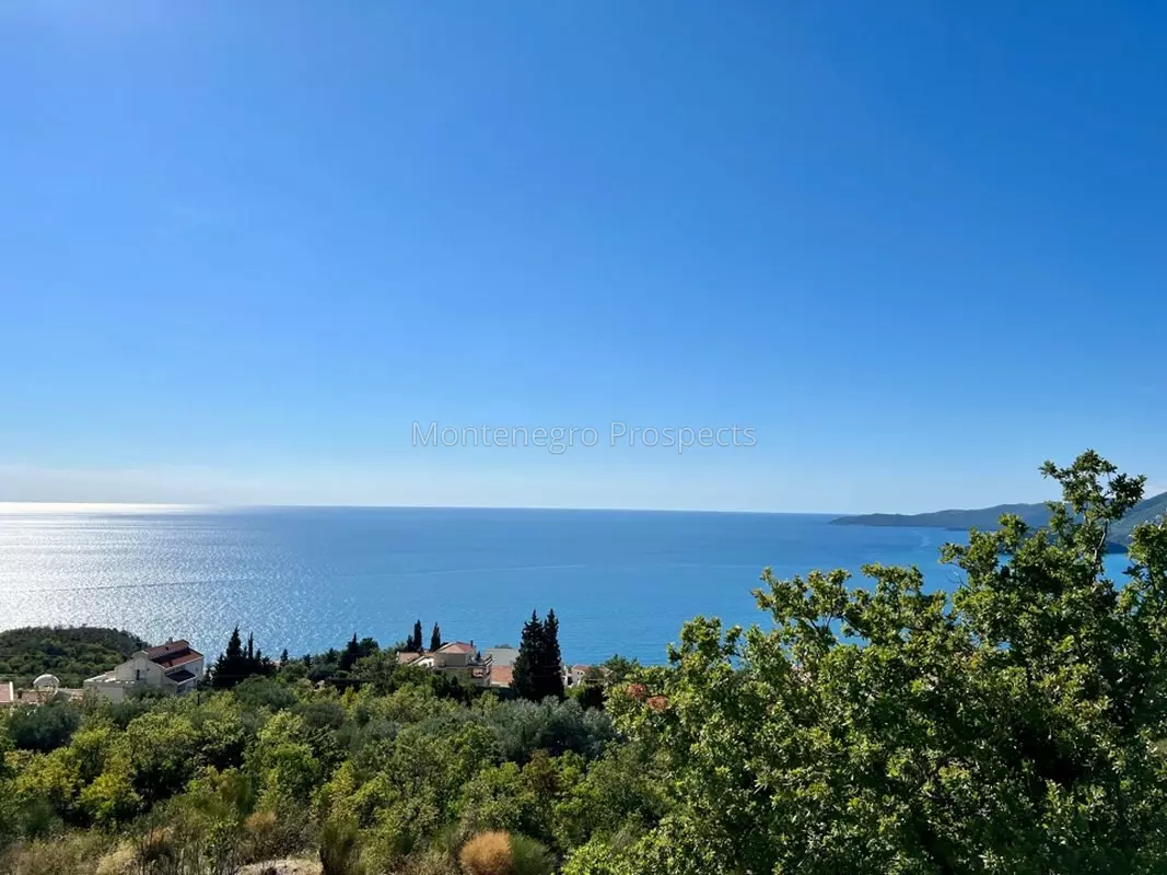 Vila sa basejnom v blizikuce 12464 13 1067x800