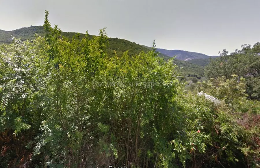 12673 plac buljarica 2 1238x800