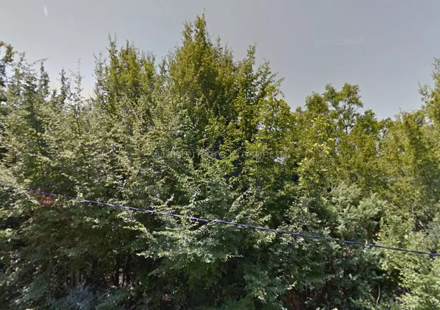 12673 plac buljarica 3 1136x800
